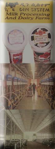 DINSHO With Its Diverse Product Line Is The Ethiopian Partner Of Choice For Your Company