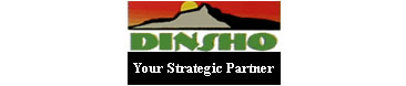 DINSHO (Your Strategic Partner)