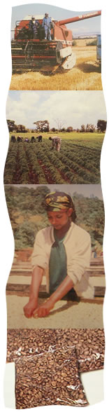 DINSHO With Its Diverse Product Line Is The Ethiopian Partner Of Choice For Your Company